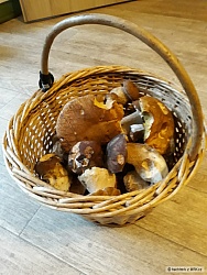 kliknutím fotku zvětšíte