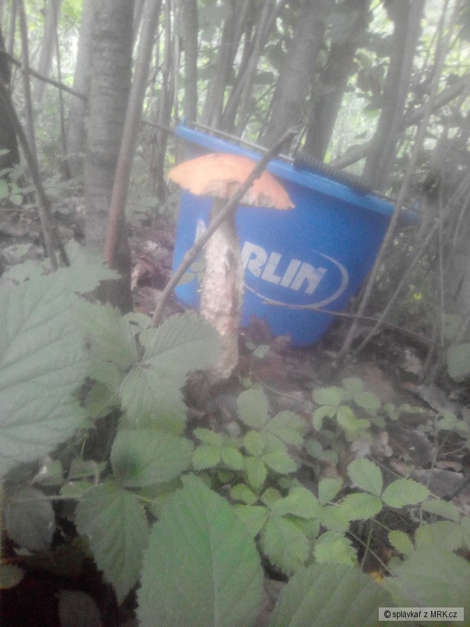 kliknutím fotku zvětšíte