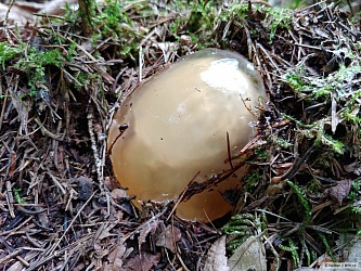 kliknutím fotku zvětšíte