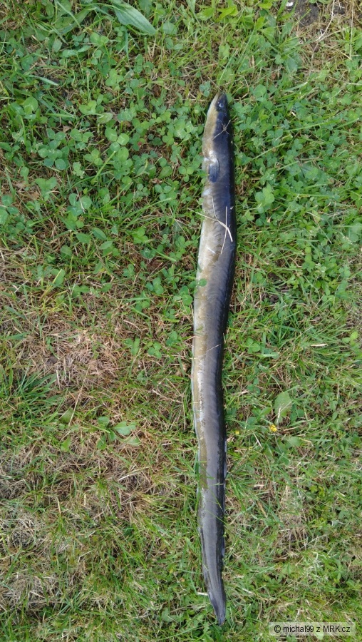 kliknutím fotku zvětšíte