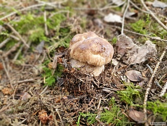 kliknutím fotku zvětšíte