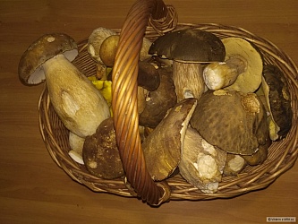 kliknutím fotku zvětšíte