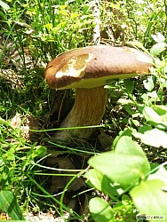 kliknutím fotku zvětšíte