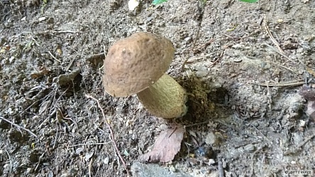 kliknutím fotku zvětšíte