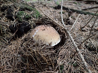 kliknutím fotku zvětšíte