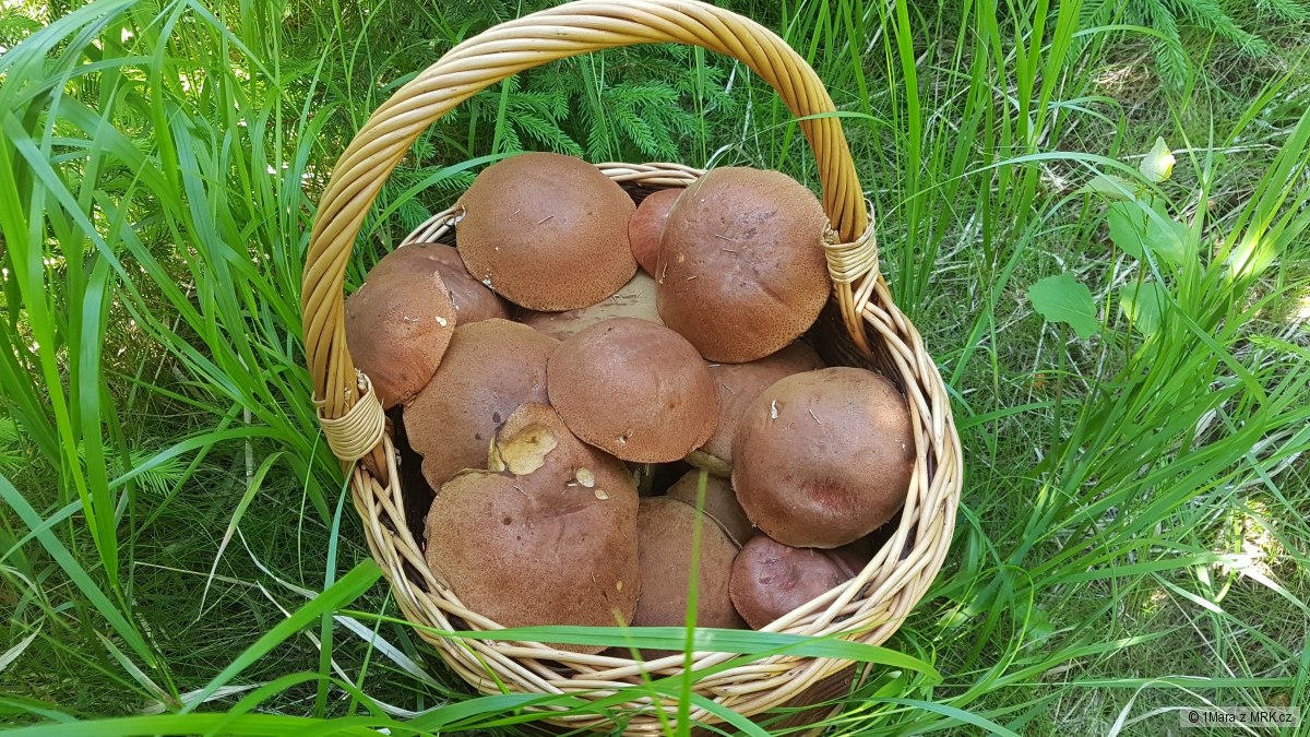 kliknutím fotku zvětšíte