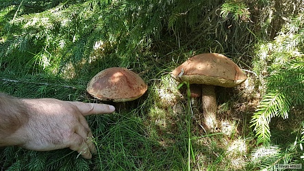 kliknutím fotku zvětšíte