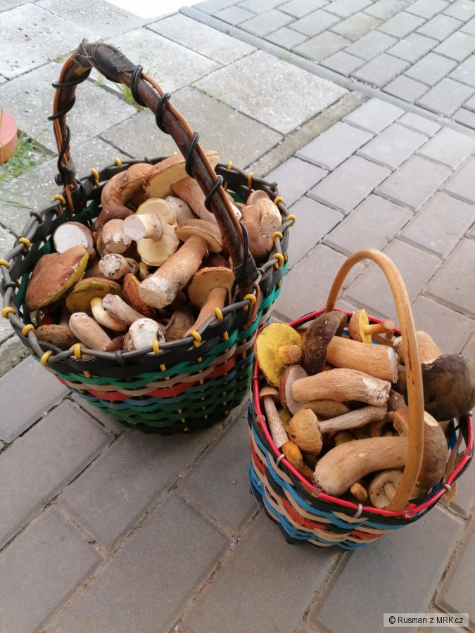 kliknutím fotku zvětšíte