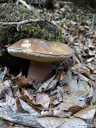 kliknutím fotku zvětšíte
