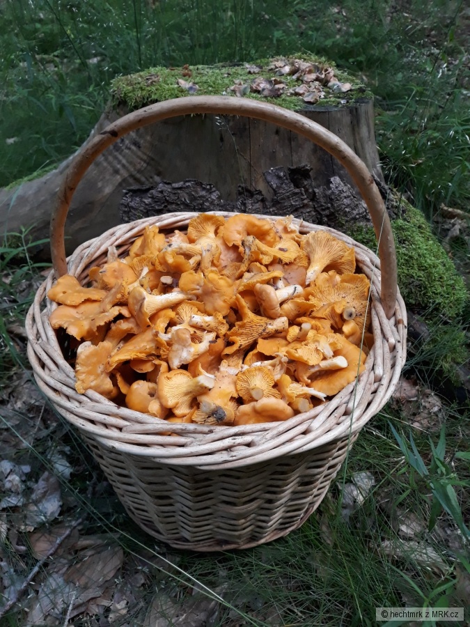 kliknutím fotku zvětšíte