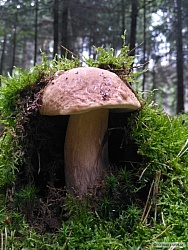 kliknutím fotku zvětšíte