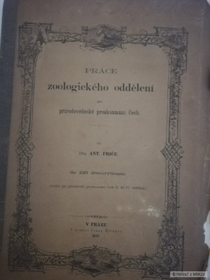 kliknutím fotku zvětšíte