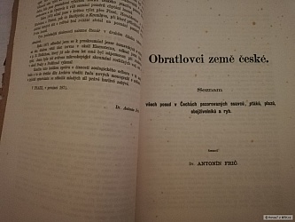 kliknutím fotku zvětšíte
