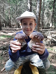 kliknutím fotku zvětšíte