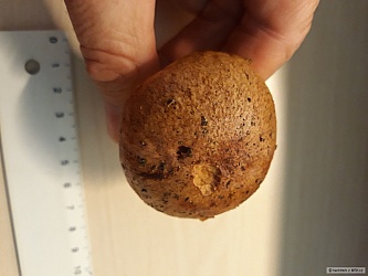 kliknutím fotku zvětšíte