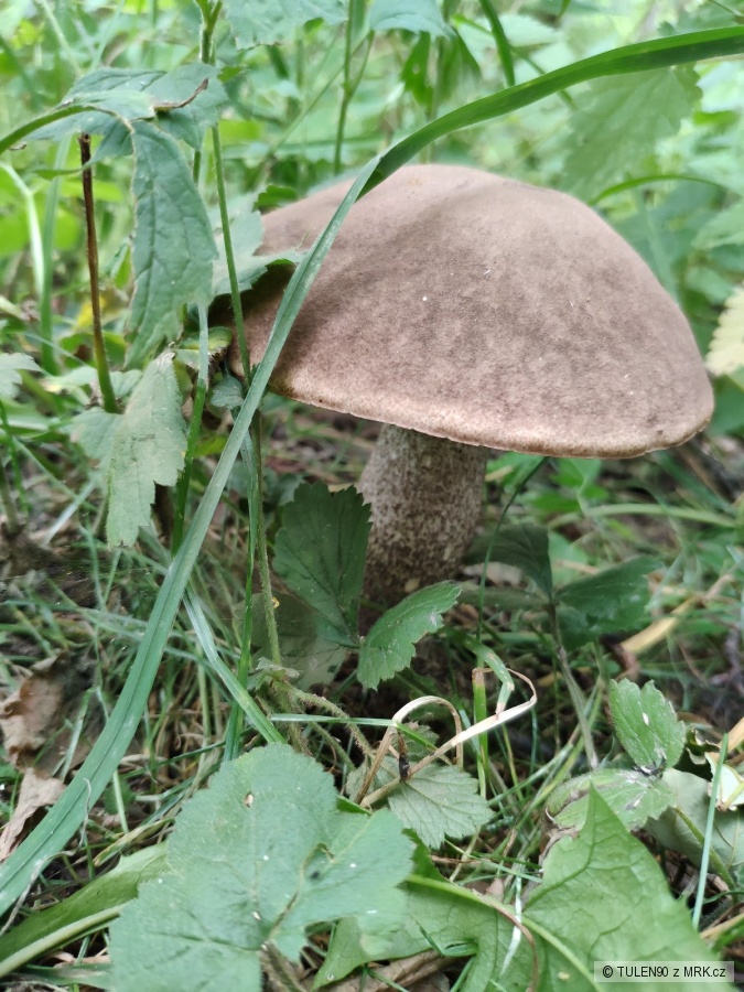 kliknutím fotku zvětšíte
