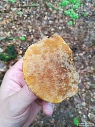 kliknutím fotku zvětšíte