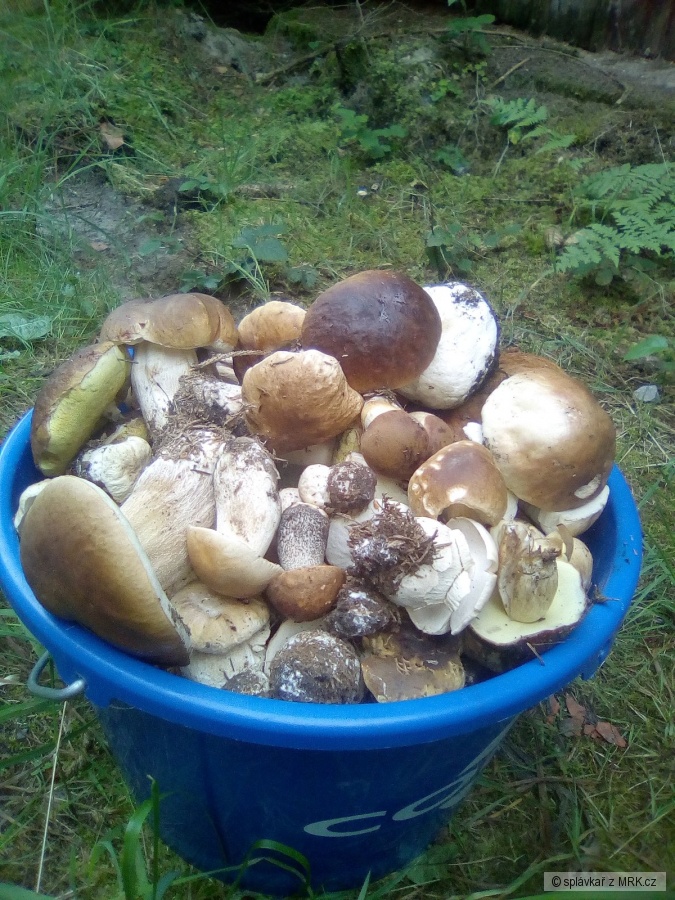 kliknutím fotku zvětšíte