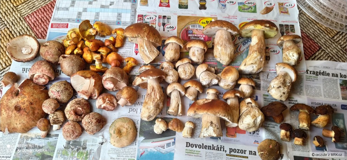 kliknutím fotku zvětšíte