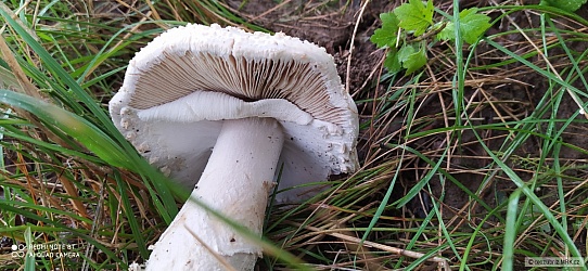 kliknutím fotku zvětšíte
