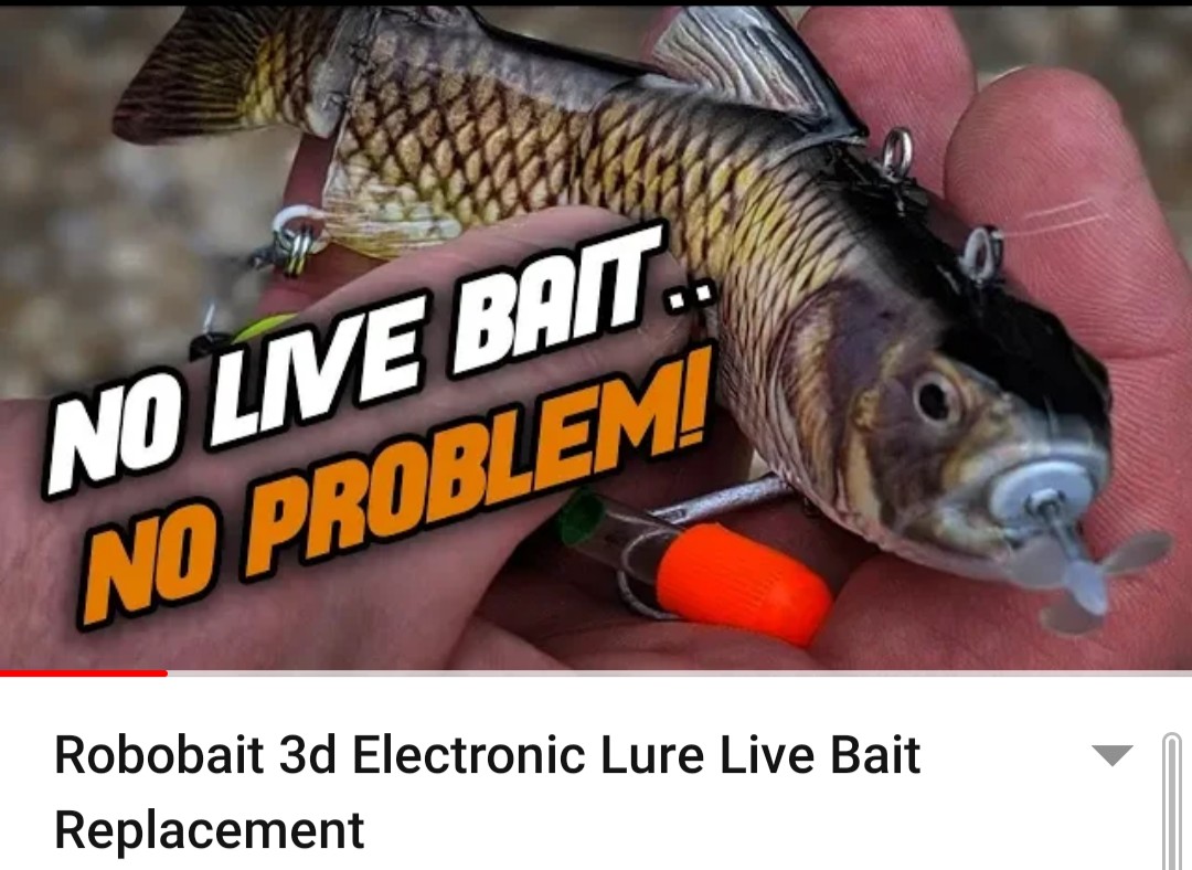 kliknutím fotku zvětšíte