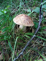 kliknutím fotku zvětšíte