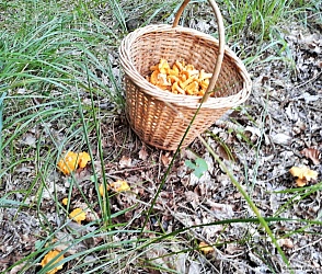 kliknutím fotku zvětšíte