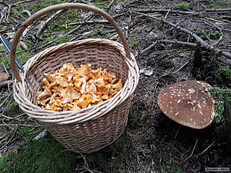 kliknutím fotku zvětšíte