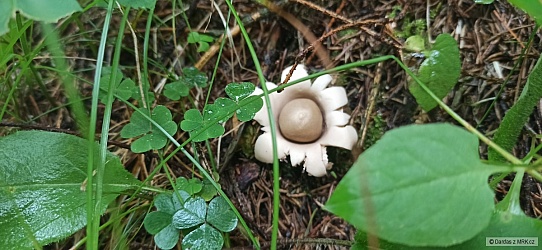 kliknutím fotku zvětšíte