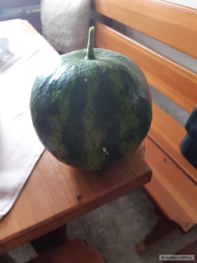 kliknutím fotku zvětšíte