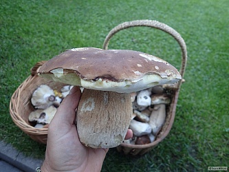kliknutím fotku zvětšíte