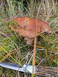 kliknutím fotku zvětšíte