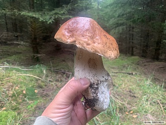 kliknutím fotku zvětšíte