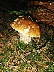 kliknutím fotku zvětšíte