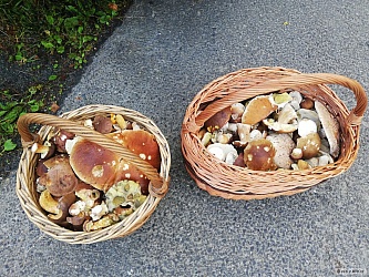 kliknutím fotku zvětšíte