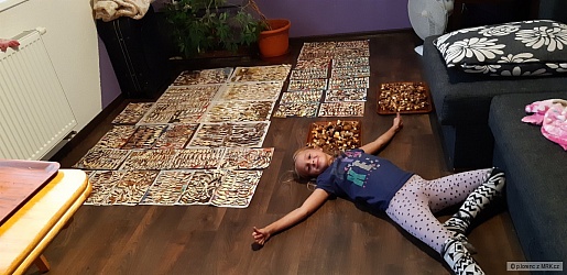 kliknutím fotku zvětšíte