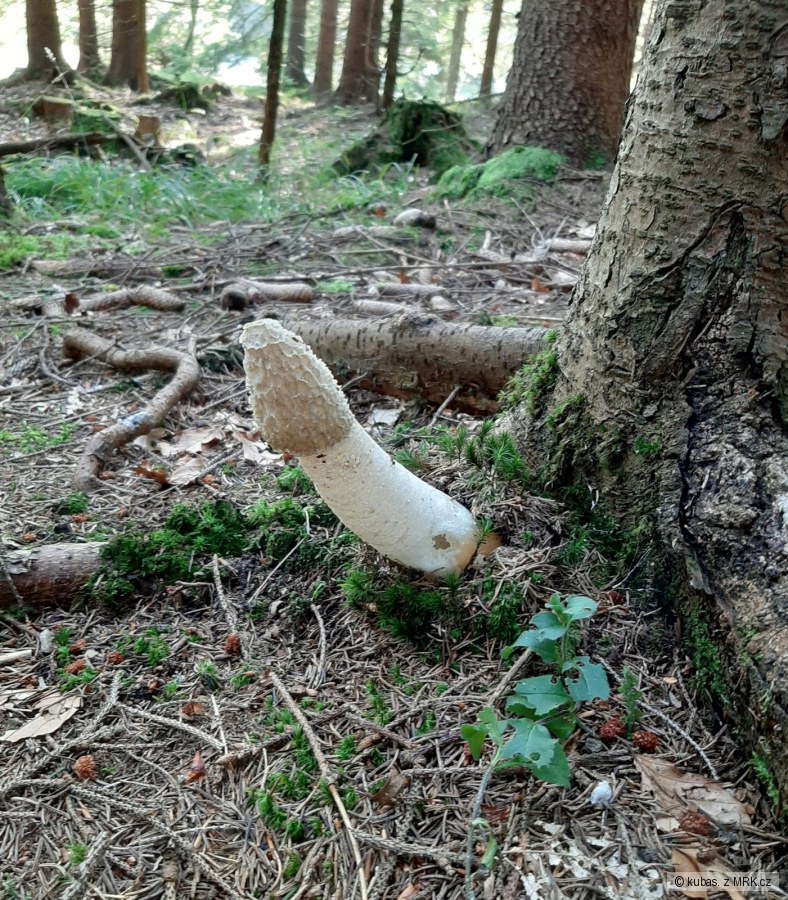 kliknutím fotku zvětšíte