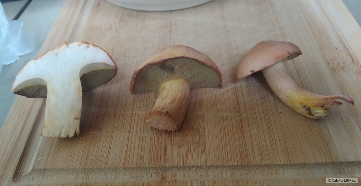 kliknutím fotku zvětšíte
