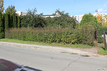 kliknutím fotku zvětšíte