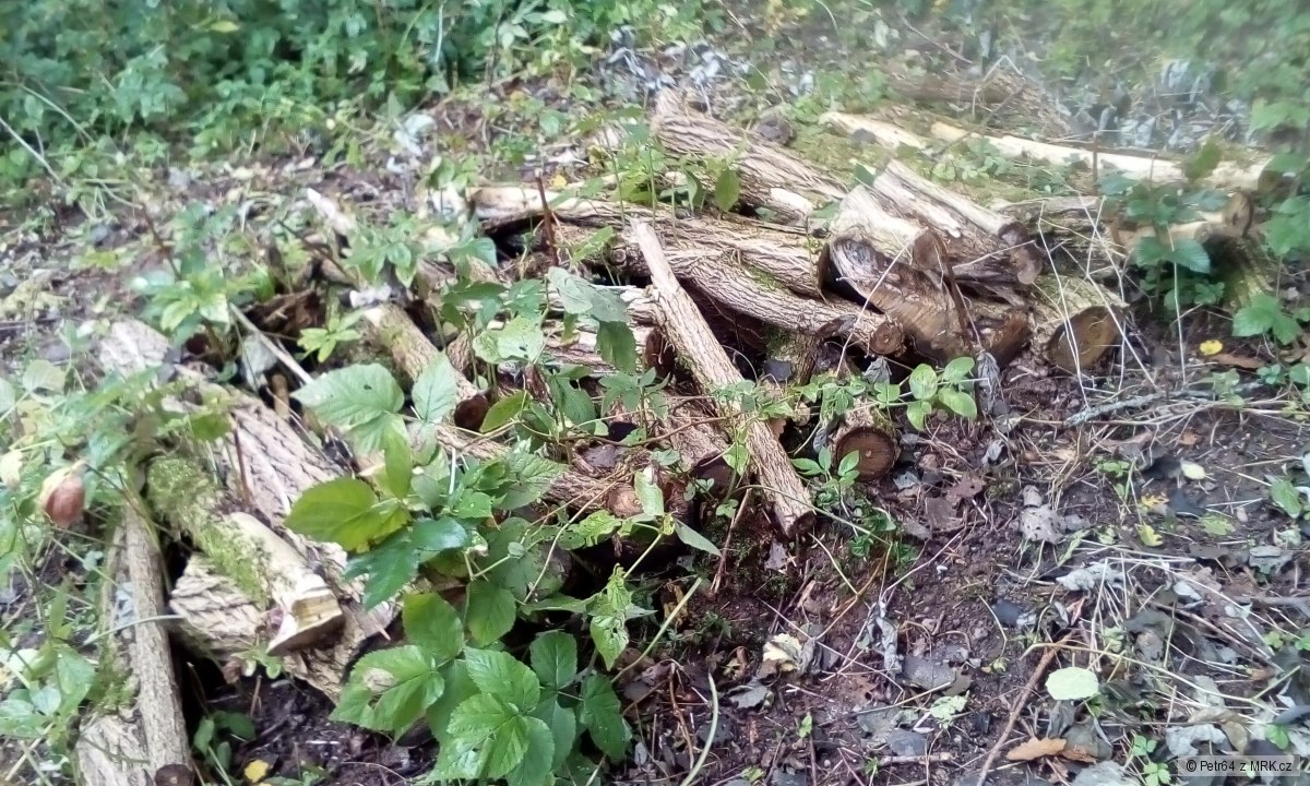 kliknutím fotku zvětšíte