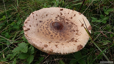 kliknutím fotku zvětšíte
