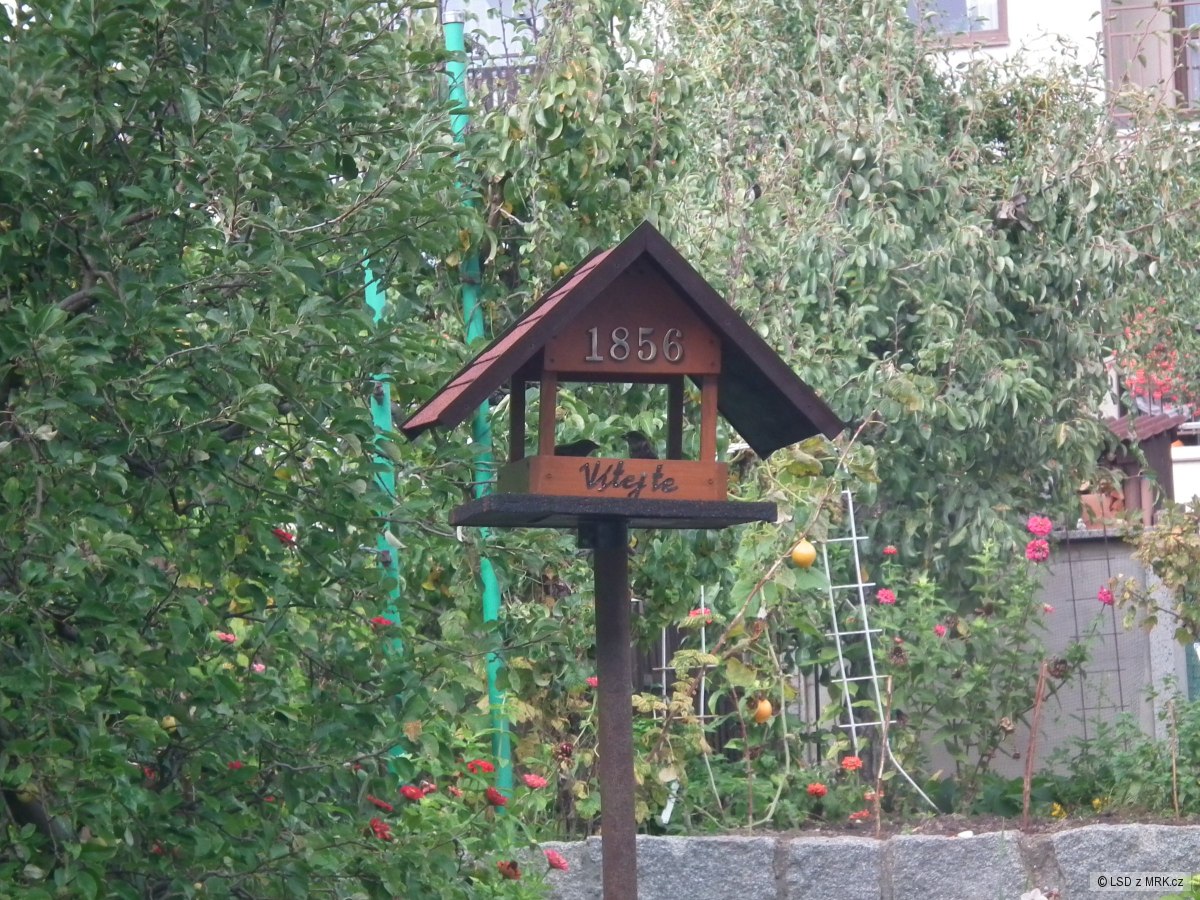 kliknutím fotku zvětšíte