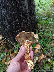 kliknutím fotku zvětšíte