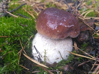 kliknutím fotku zvětšíte