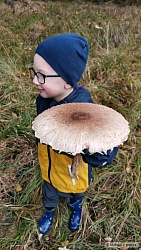 kliknutím fotku zvětšíte