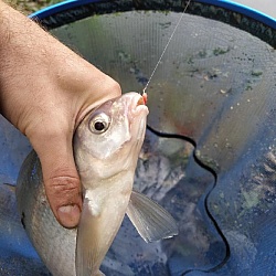 kliknutím fotku zvětšíte
