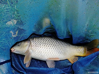 kliknutím fotku zvětšíte