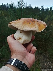 kliknutím fotku zvětšíte