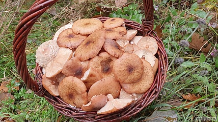 kliknutím fotku zvětšíte