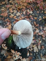 kliknutím fotku zvětšíte